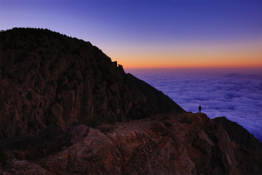 4 reasons why time in nature can boost your leadership skills